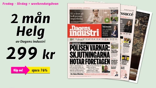 affärstidningar, Dagens Industri, dagstidningar
