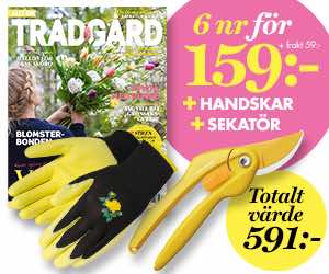 Allt om Trädgård 6 nr + Fiskars sekatör & Tegera handskar