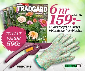 Allt om Trädgård 6 nr + Fiskars sekatör och Hestra handskar