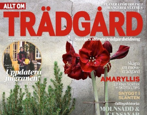 Allt om Trädgård 3 nr för 179 kr