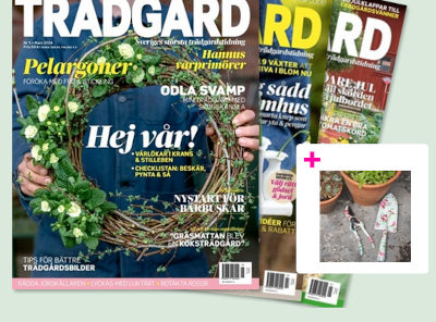 6 nr av Allt om Trädgård + Trädgårds-kit 199 kr