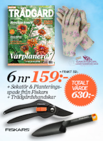 6 nr av Allt om trädgård + plantspade, sekatör & handskar