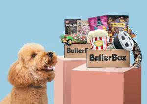 BullerBox för hund: 25% rabatt på 6 månader