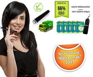 Dansmoke startpaket med e-cigarett & filter i valfri smak