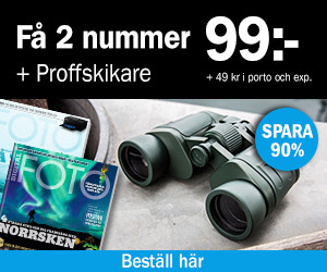 2 nr av Digital FOTO + Mitilux Proffskikare 8X40 på köpet