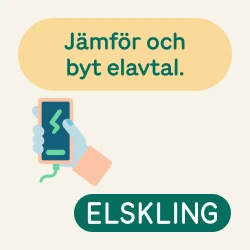 elavtal, Elskling