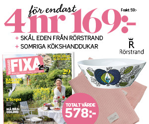 4 nr av FIXA 169 kr + Skål Eden från Rörstrand + handdukar