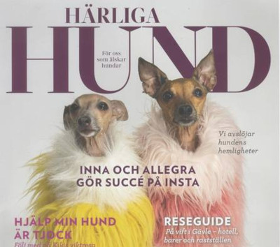 Beställ Härliga Hund prenumeration 3 nr för 399 kr