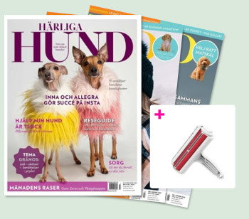 5 nr av Härliga Hund + Roller mot hundhår för 440 kr