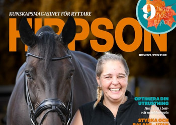 Hippson 6 nr för 995 kr