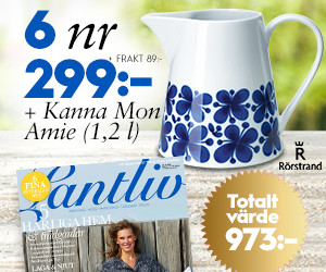 6 nr av Lantliv + kanna Mon Amie från Rörstrand