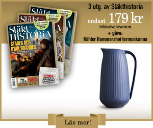 3 nr av Släkthistoria för 179 kr + termoskanna Hammershøi