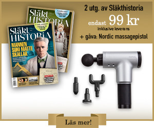 Släkthistoria 2 tidningar 99 kr + Nordic massagepistol gåva
