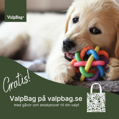 valpkit