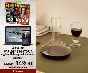2 nr av Världens Historia + Cabernet Vinkaraff Holmegaard