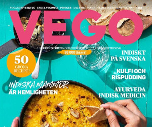 7 nr av tidningen VEGO för 339 kr (30% rabatt)